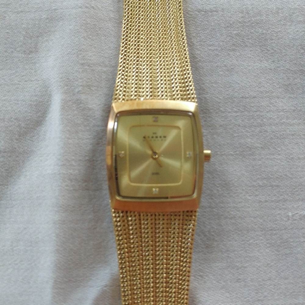 Skagen Gold Tone Stainless Mesh Bracelet Watch